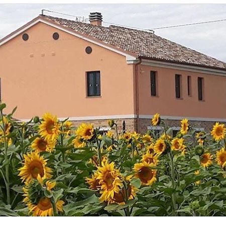 La dolce vita Porto Recanati Esterno foto