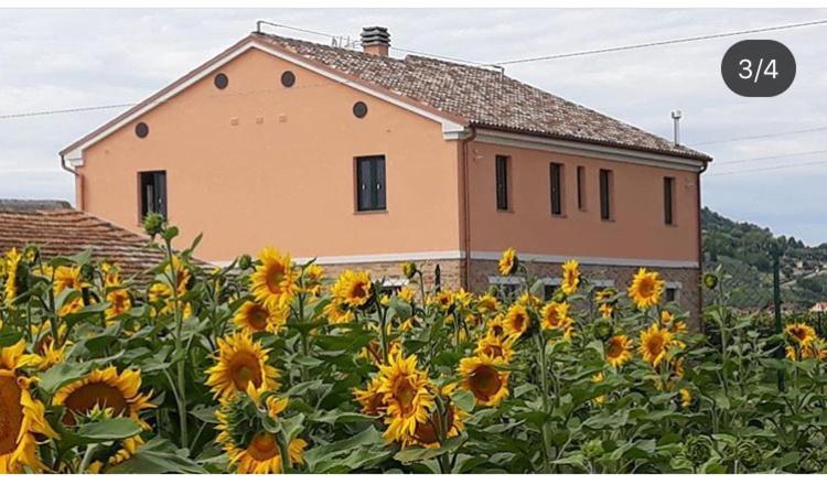 La dolce vita Porto Recanati Esterno foto