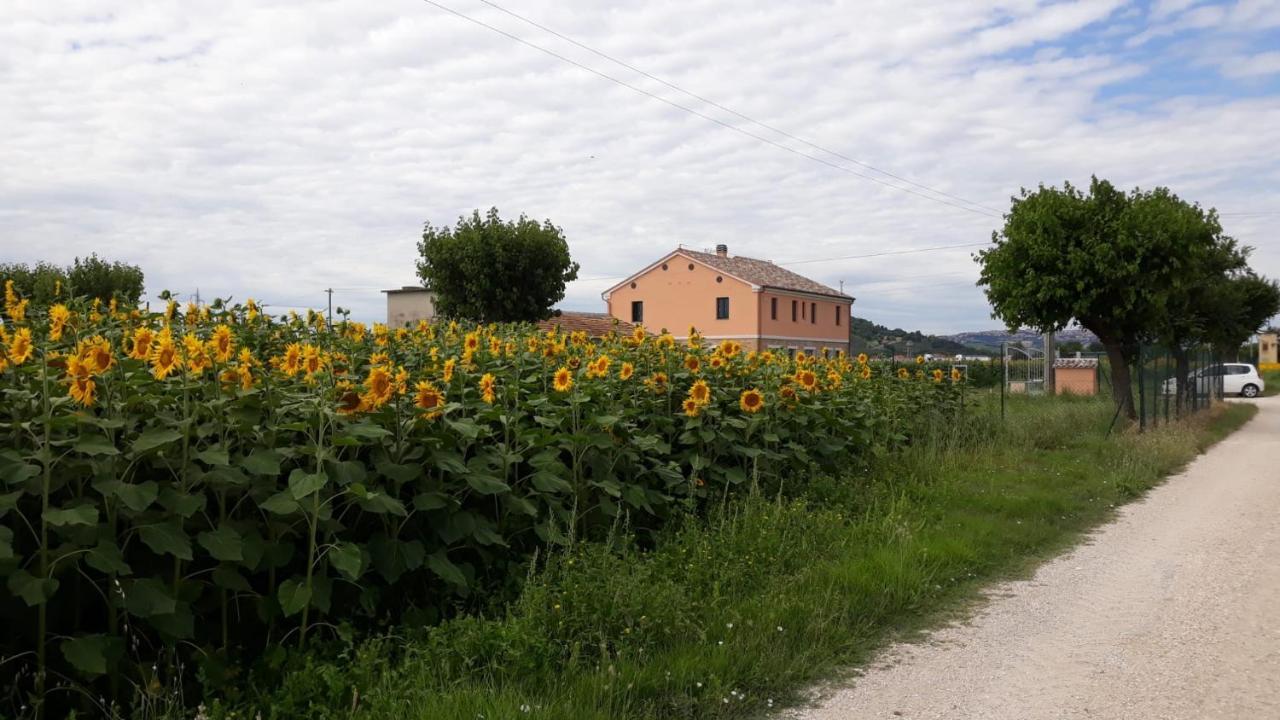 La dolce vita Porto Recanati Esterno foto