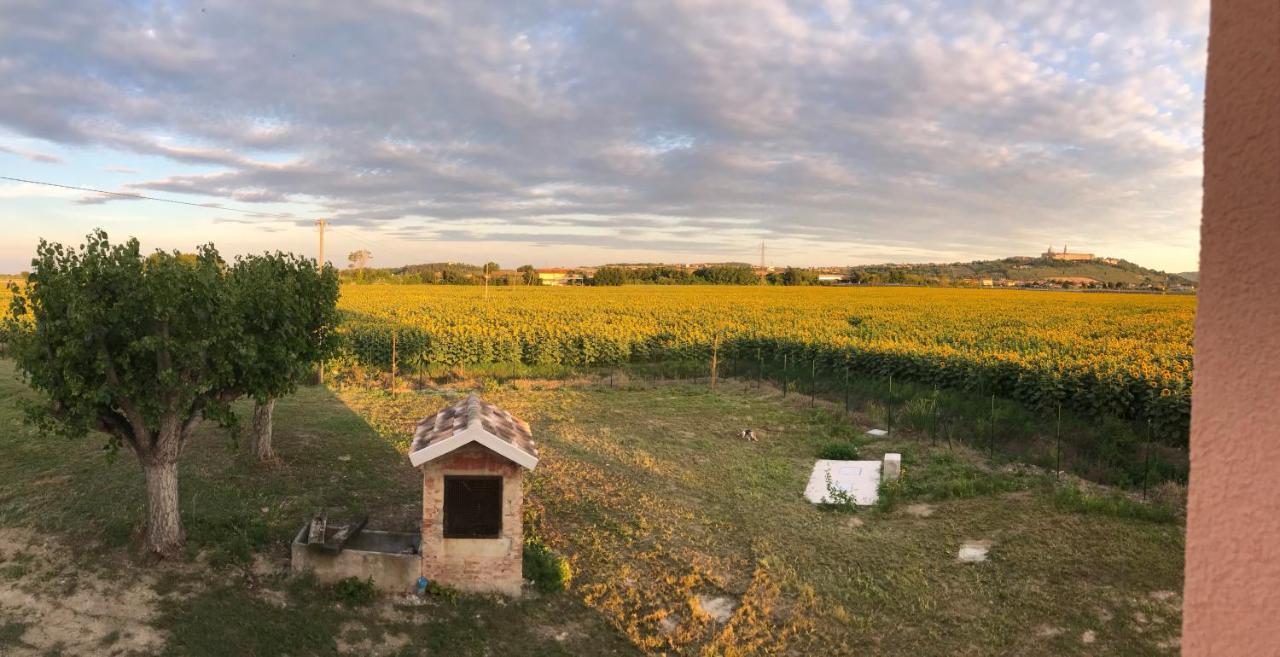 La dolce vita Porto Recanati Esterno foto
