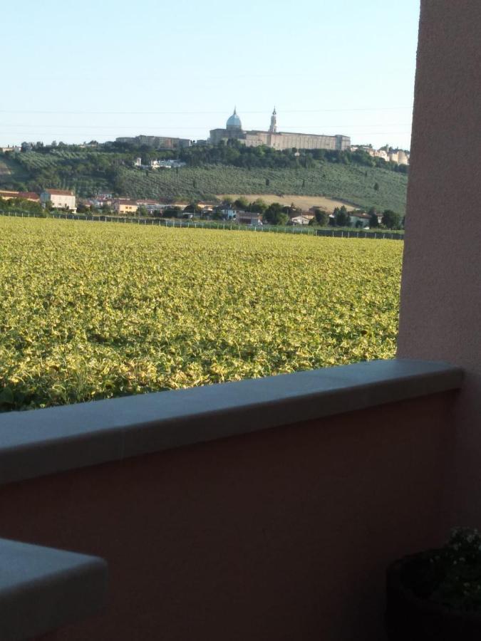 La dolce vita Porto Recanati Esterno foto