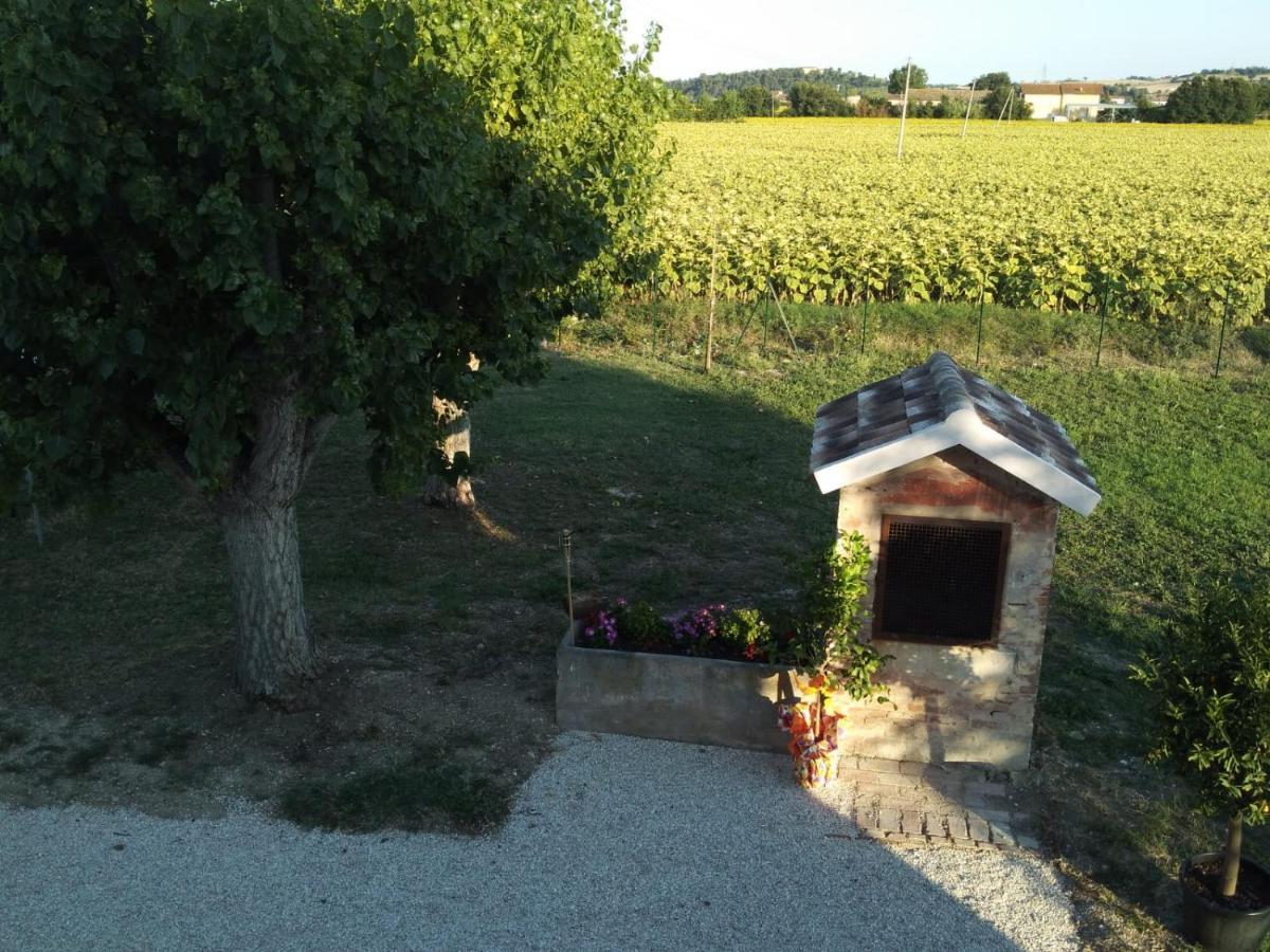 La dolce vita Porto Recanati Esterno foto